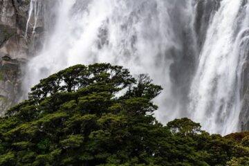 acqua povera di potassio